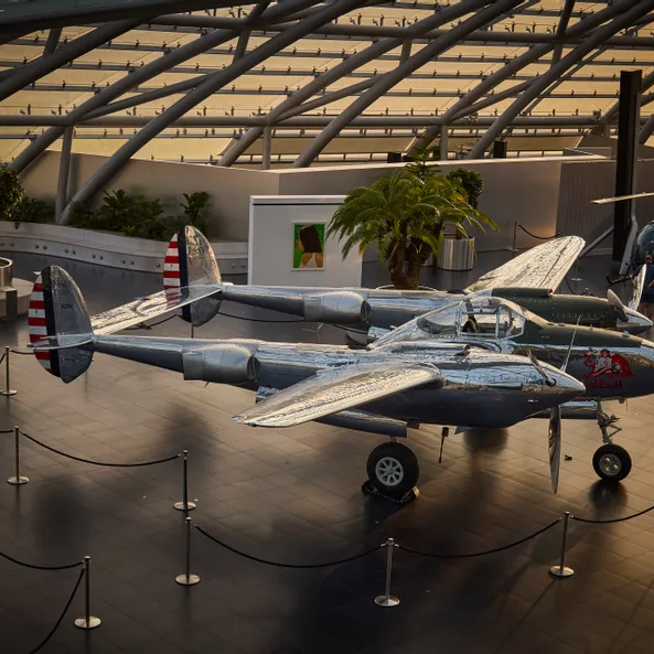 Architecture, plants, art exhibition, aircraft Lockheed P-38 Lightning 