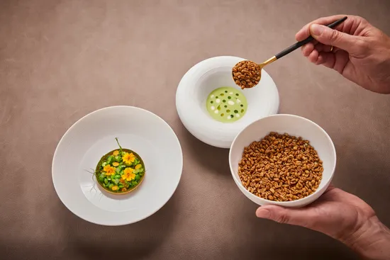 Plate with dish, Green peas – Orange – Fir tip