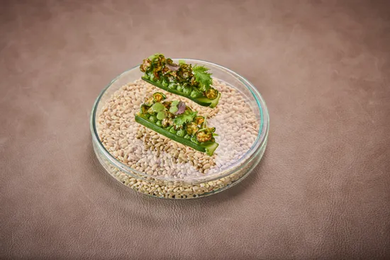Plate with dish, Zucchini – Lovage – Pistachio