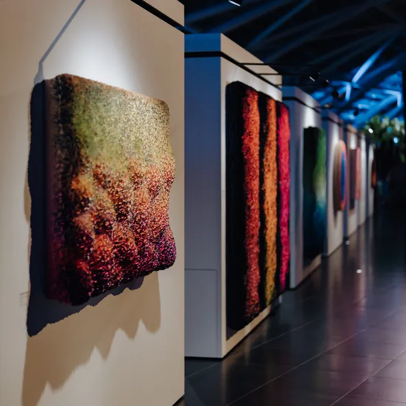 Art exhibition at Red Bull Hangar-7, architecture, painting