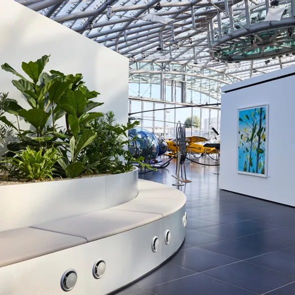 Architecture, plants, art exhibition