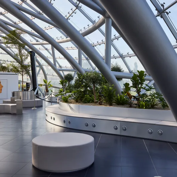 Architecture, plants, art exhibition