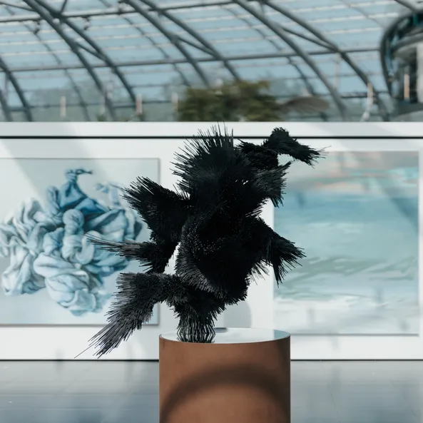 Artworks from the Wild @ Heart exhibition at Red Bull Hangar-7