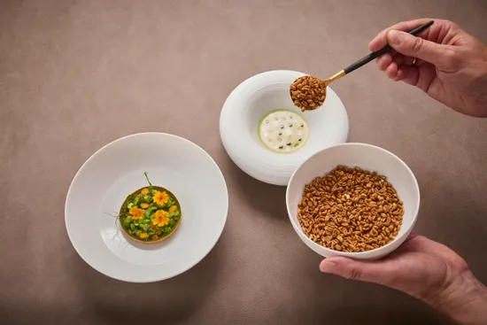 Plate with dish, Green peas – Orange – Fir tip