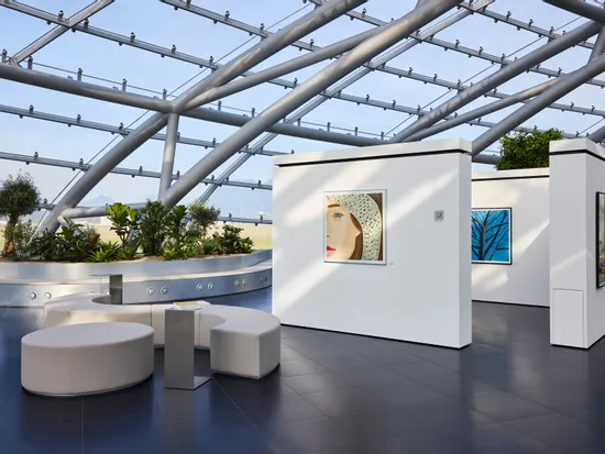 Architektur, Pflanzen, Kunstausstellung 